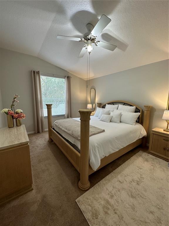 29651 Birds Eye Drive Wesley Chapel, FL 33543 - Photo 11 of 13