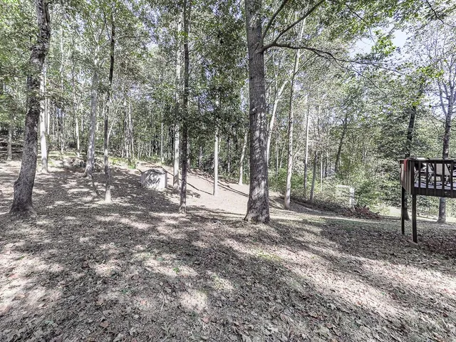 a view of a field with trees in the background