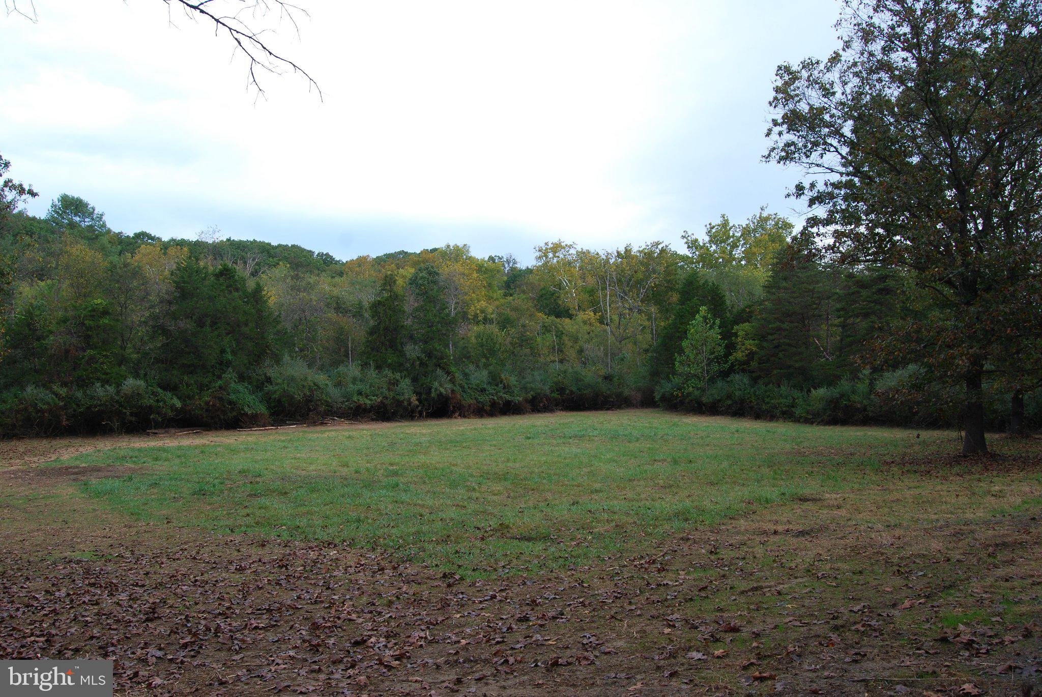 2983 Old Winchester Road Boyce, VA 22620 - Photo 109 of 190