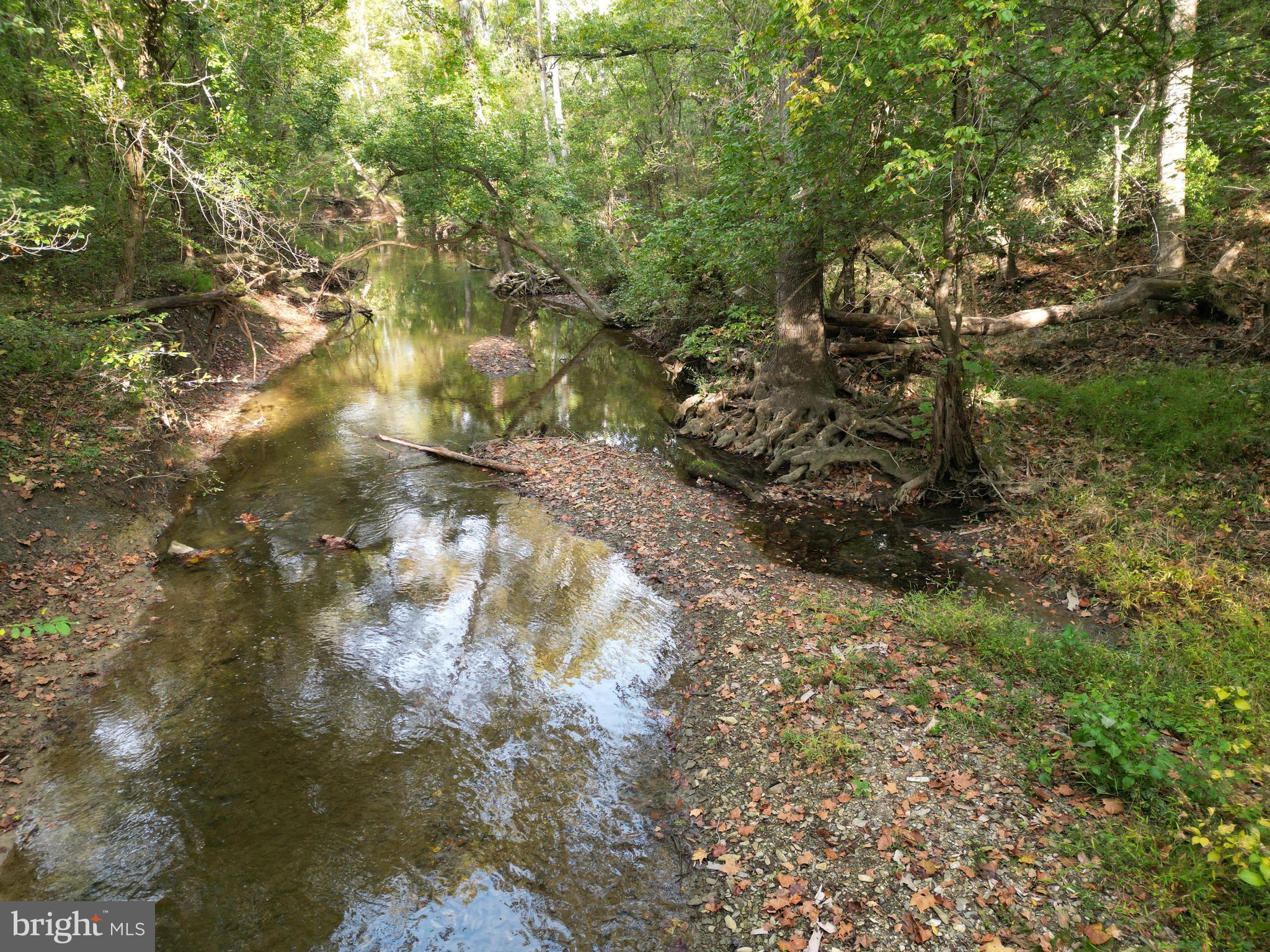 2983 Old Winchester Road Boyce, VA 22620 - Photo 11 of 91 a backyard of a house with a yard and outdoor seating