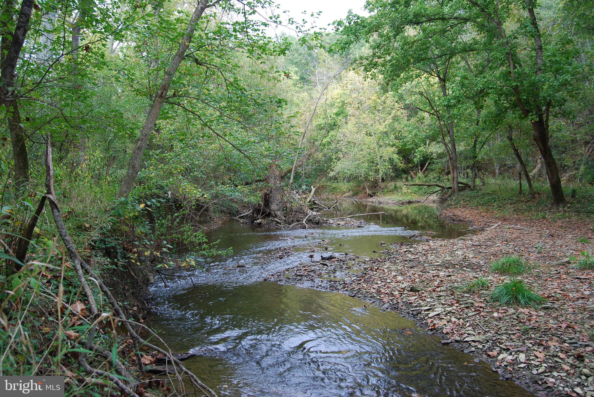 2983 Old Winchester Road Boyce, VA 22620 - Photo 134 of 190 a view of a forest with trees in the background