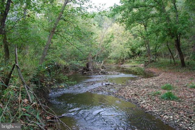 a view of a field with trees in the background