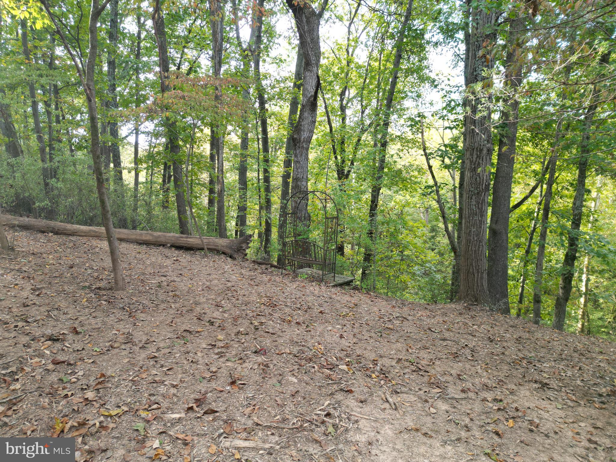 2983 Old Winchester Road Boyce, VA 22620 - Photo 18 of 91 a view of a forest with trees in the background