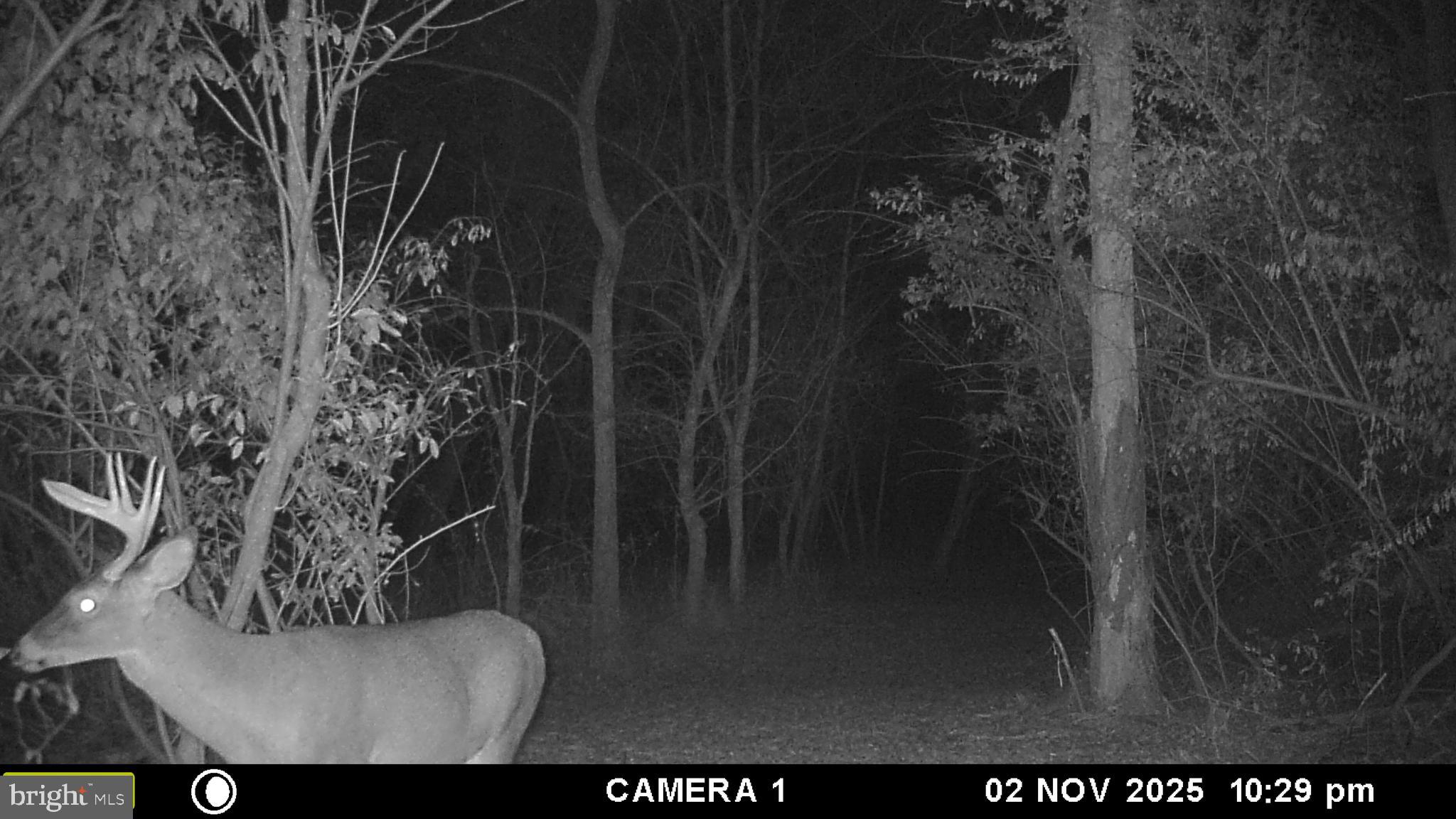 2983 Old Winchester Road Boyce, VA 22620 - Photo 186 of 190
