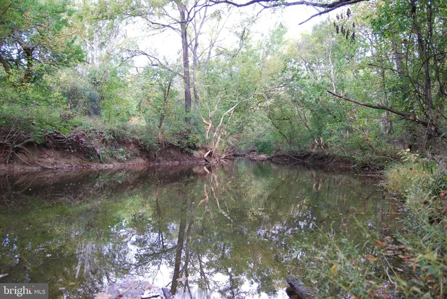 a view of outdoor space and green space
