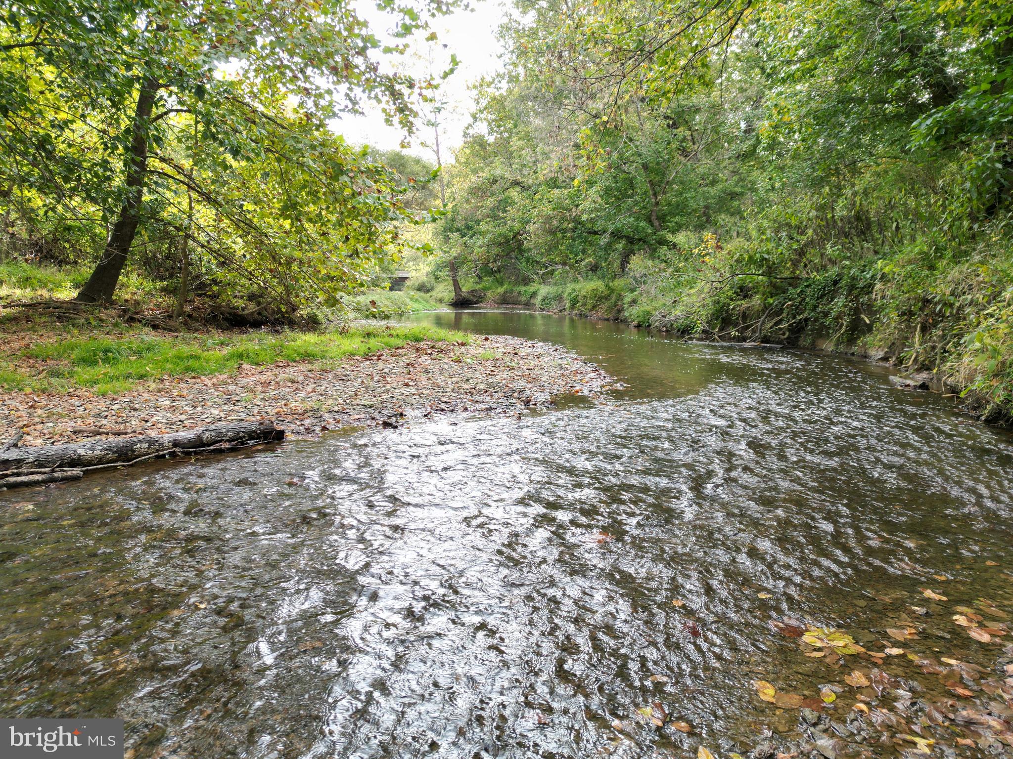 2983 Old Winchester Road Boyce, VA 22620 - Photo 2 of 91 a view of a lake with beach