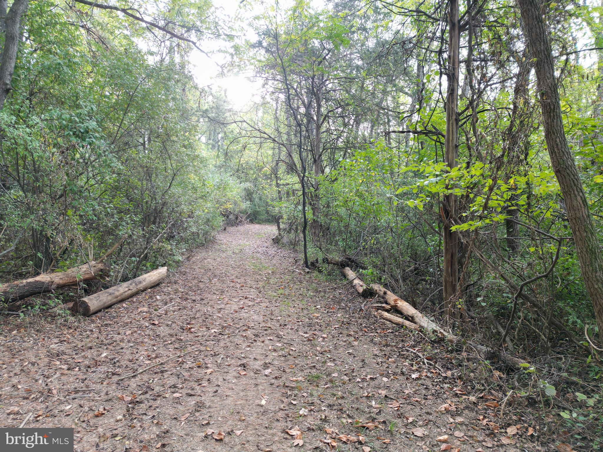 2983 Old Winchester Road Boyce, VA 22620 - Photo 21 of 91