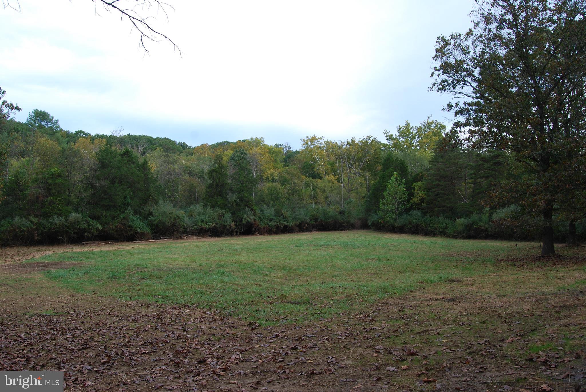 2983 Old Winchester Road Boyce, VA 22620 - Photo 22 of 91 a view of a field with trees in the background