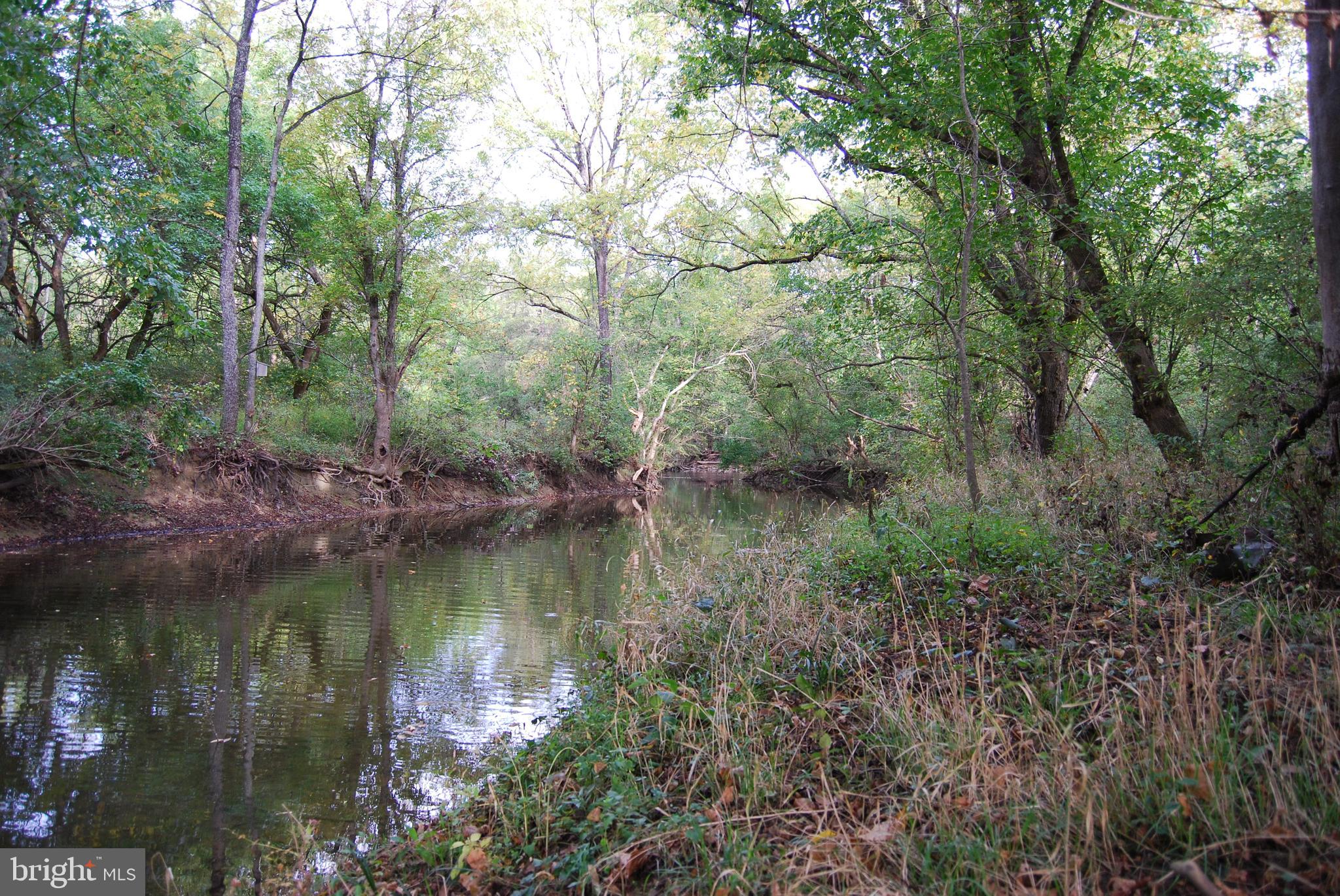 2983 Old Winchester Road Boyce, VA 22620 - Photo 24 of 91