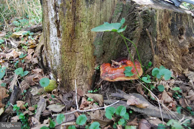 an empty room with an entryway