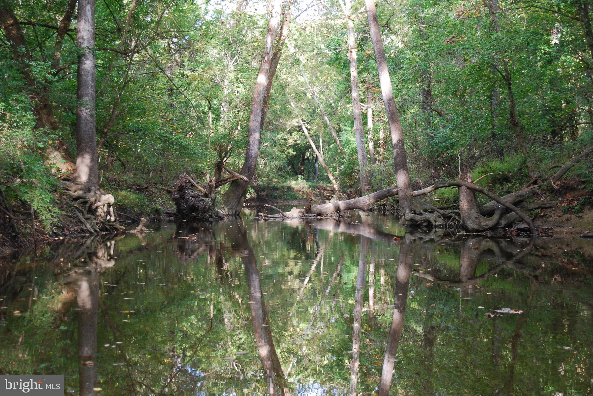 2983 Old Winchester Road Boyce, VA 22620 - Photo 27 of 91