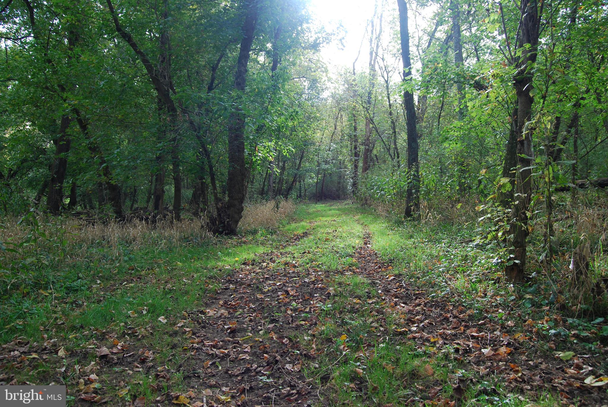 2983 Old Winchester Road Boyce, VA 22620 - Photo 28 of 91 a view of outdoor space and green space