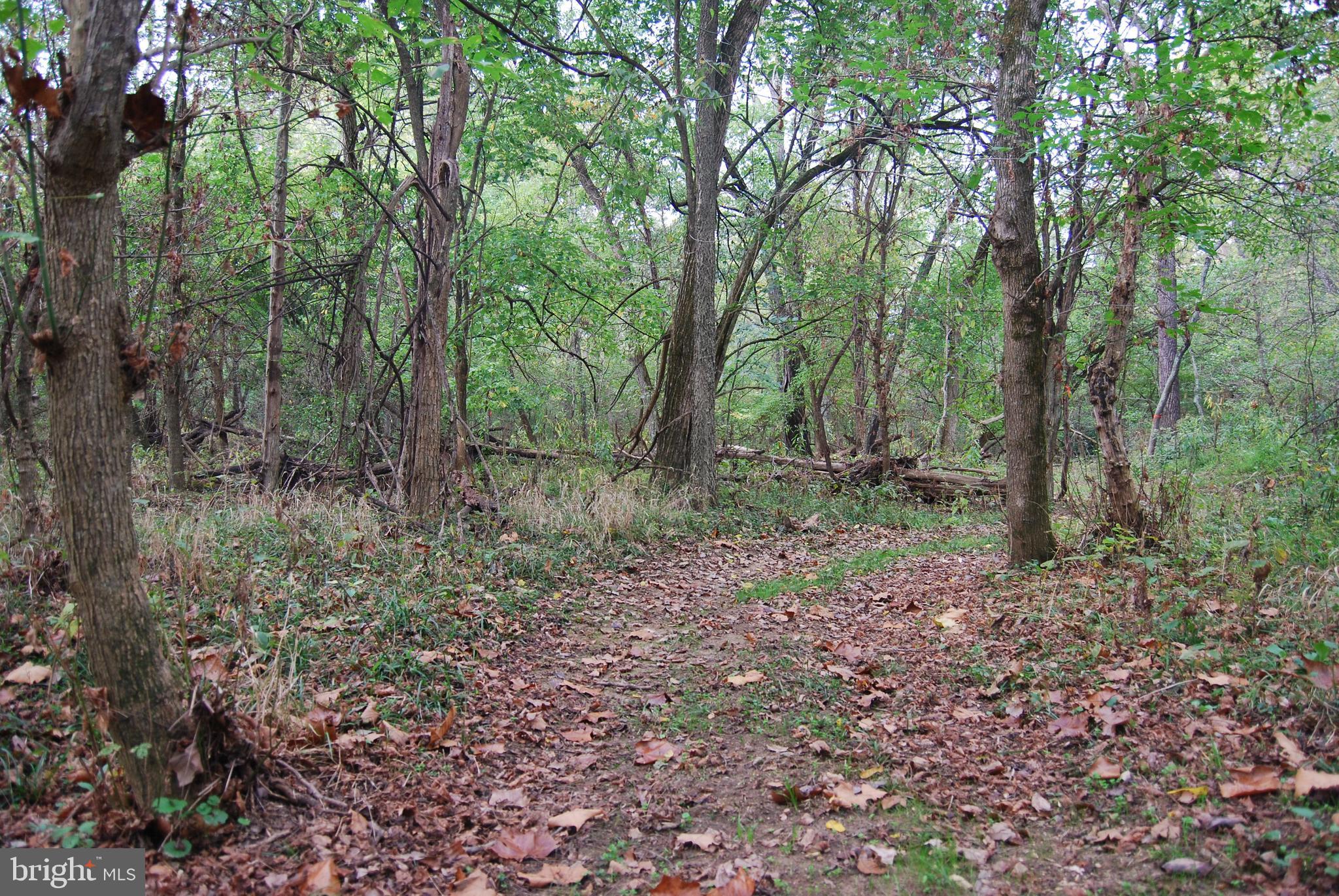 2983 Old Winchester Road Boyce, VA 22620 - Photo 30 of 91 a view of outdoor space and green space