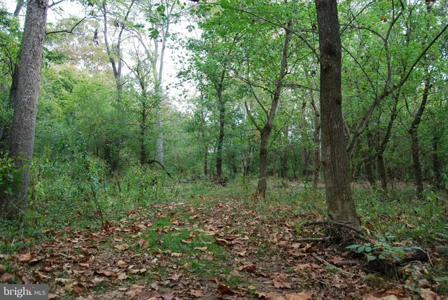 a view of kitchen with wooden floor