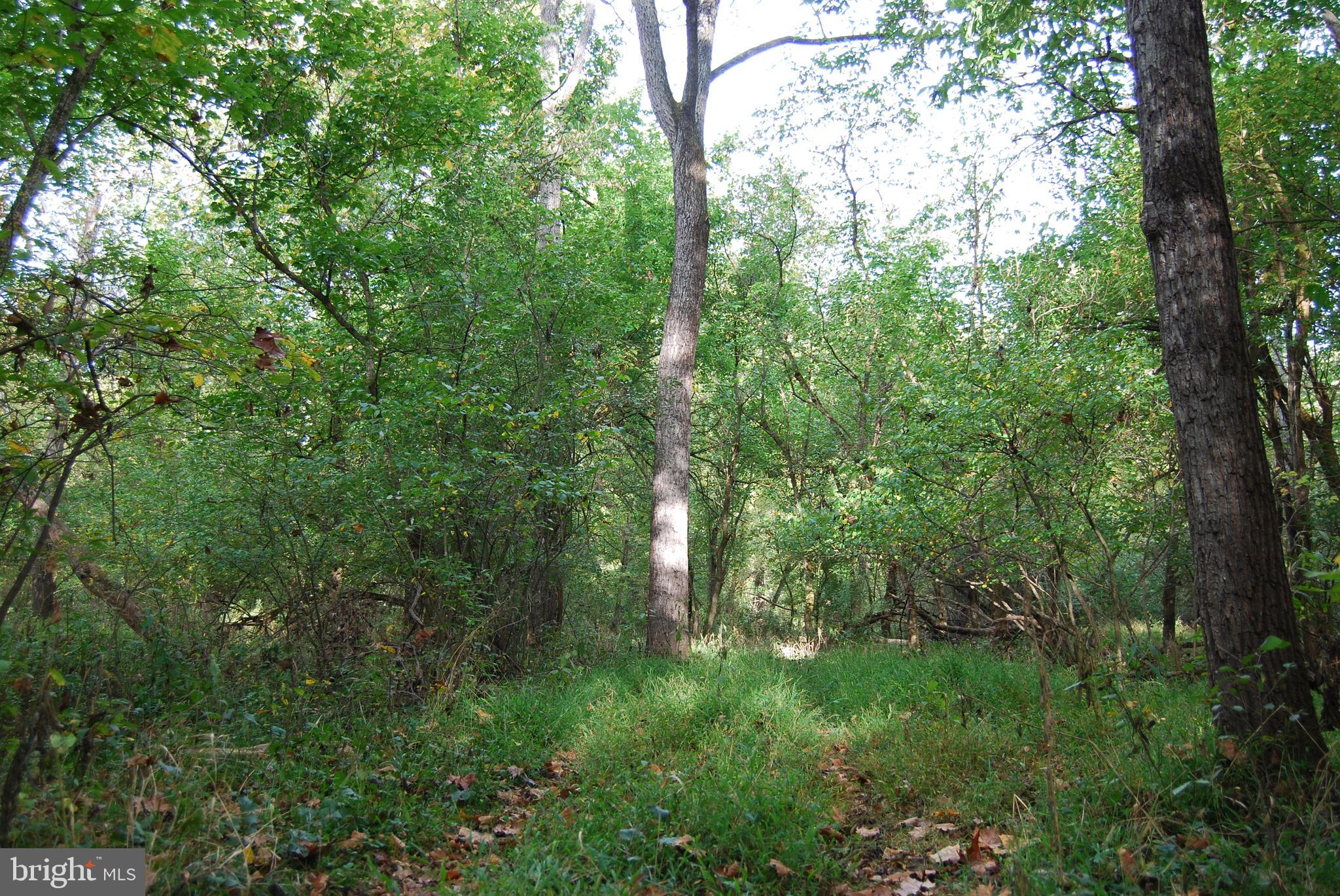 2983 Old Winchester Road Boyce, VA 22620 - Photo 33 of 91