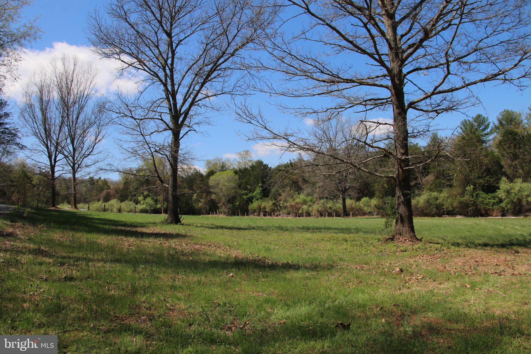 2983 Old Winchester Road Boyce, VA 22620 - Photo 33 of 190