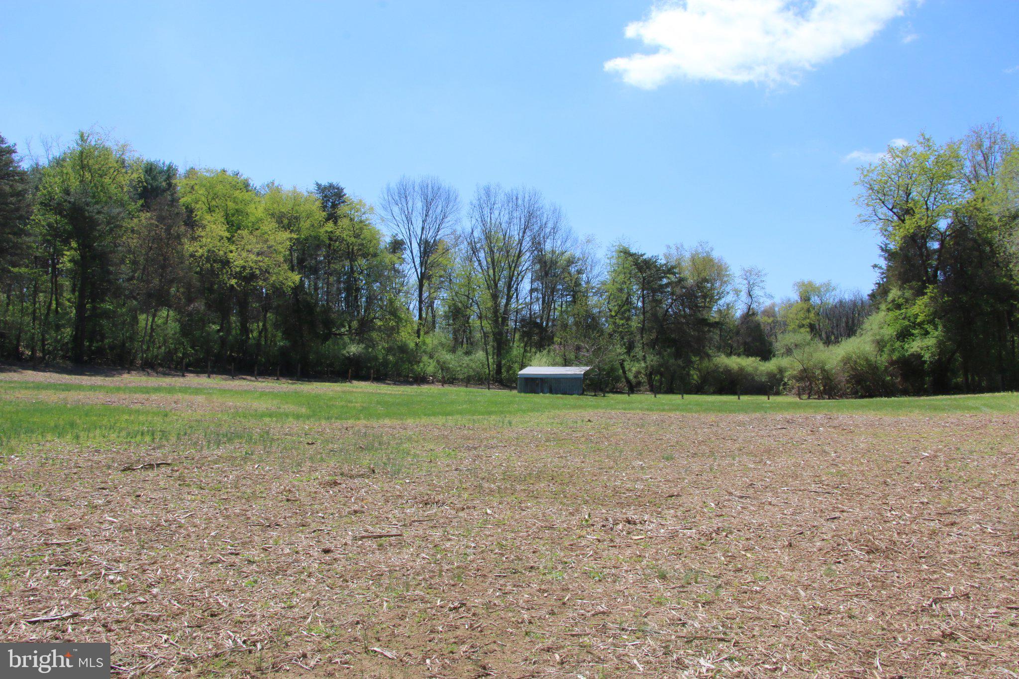 2983 Old Winchester Road Boyce, VA 22620 - Photo 35 of 190 a view of a field with trees in the background
