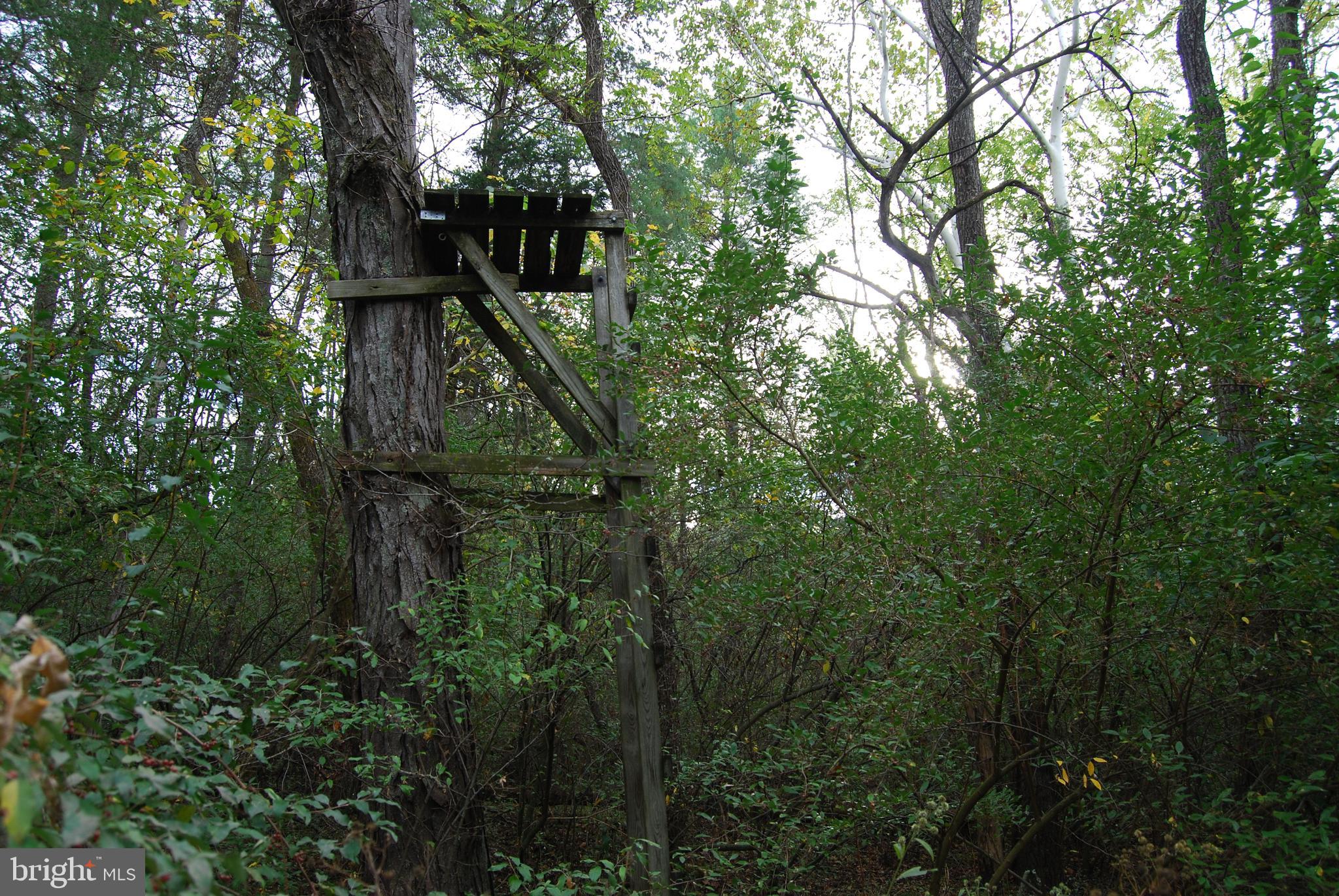 2983 Old Winchester Road Boyce, VA 22620 - Photo 35 of 91