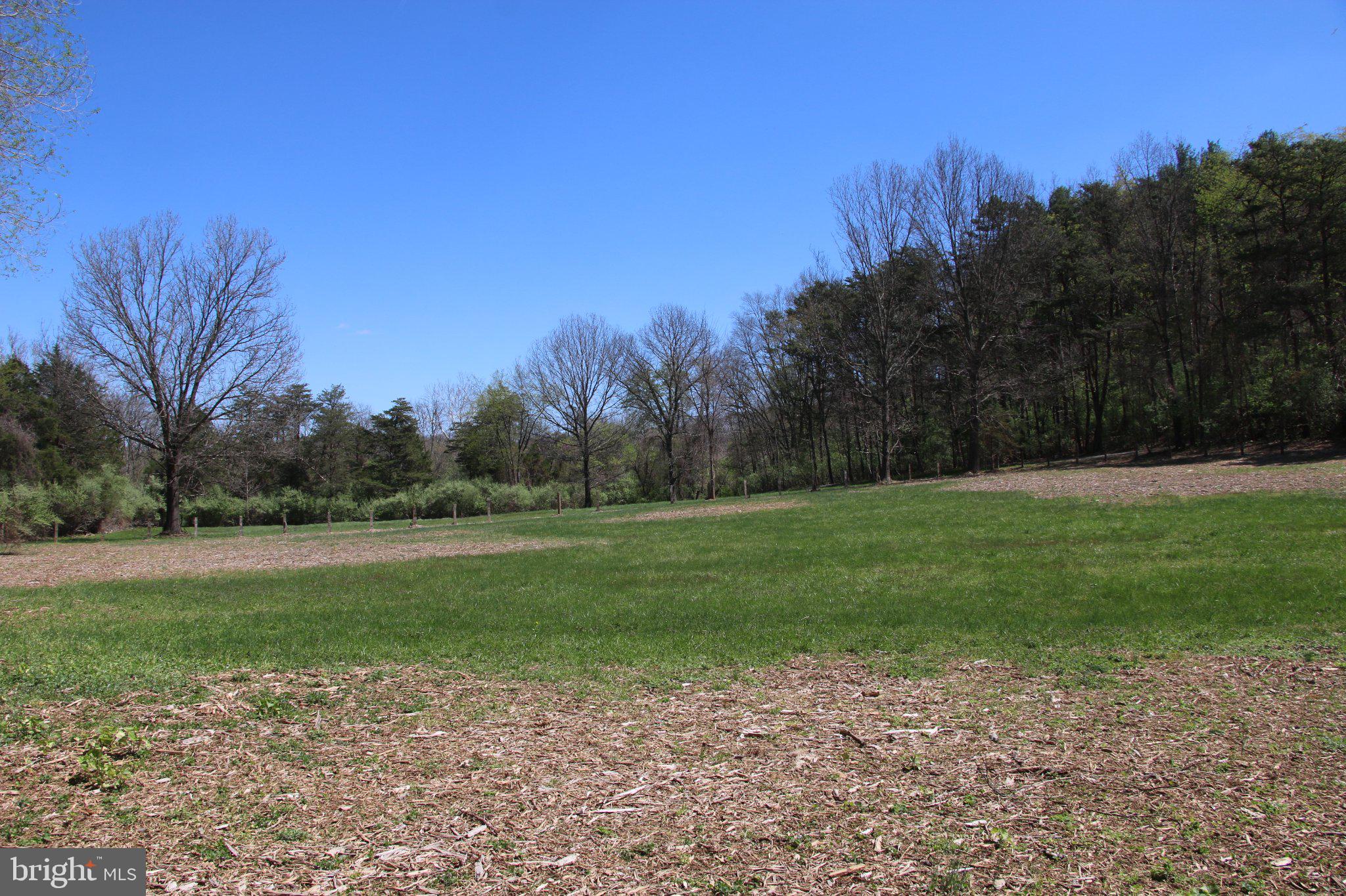 2983 Old Winchester Road Boyce, VA 22620 - Photo 36 of 190