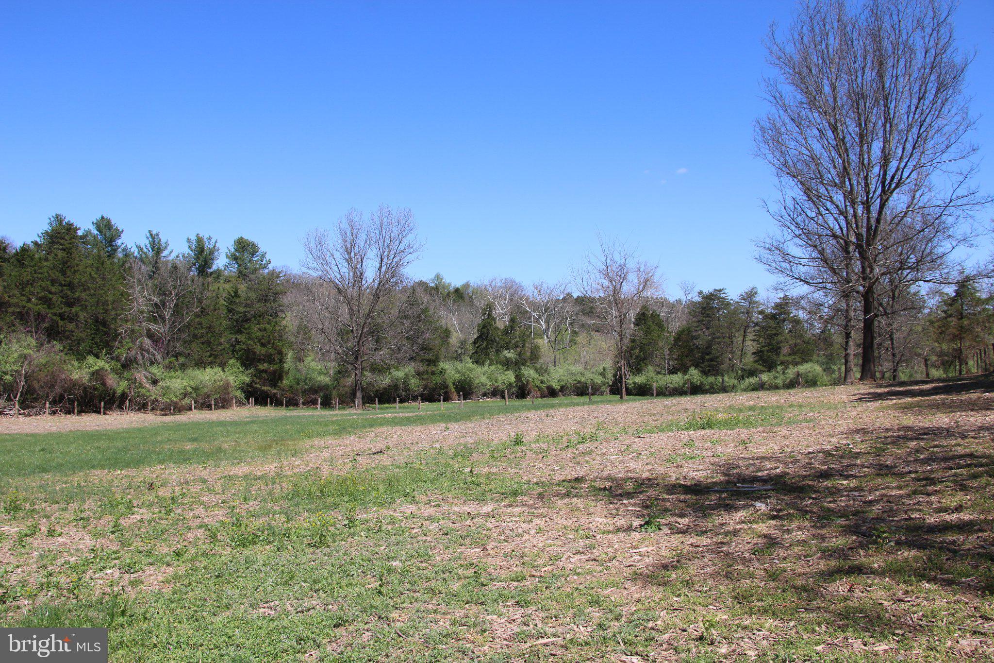 2983 Old Winchester Road Boyce, VA 22620 - Photo 37 of 190
