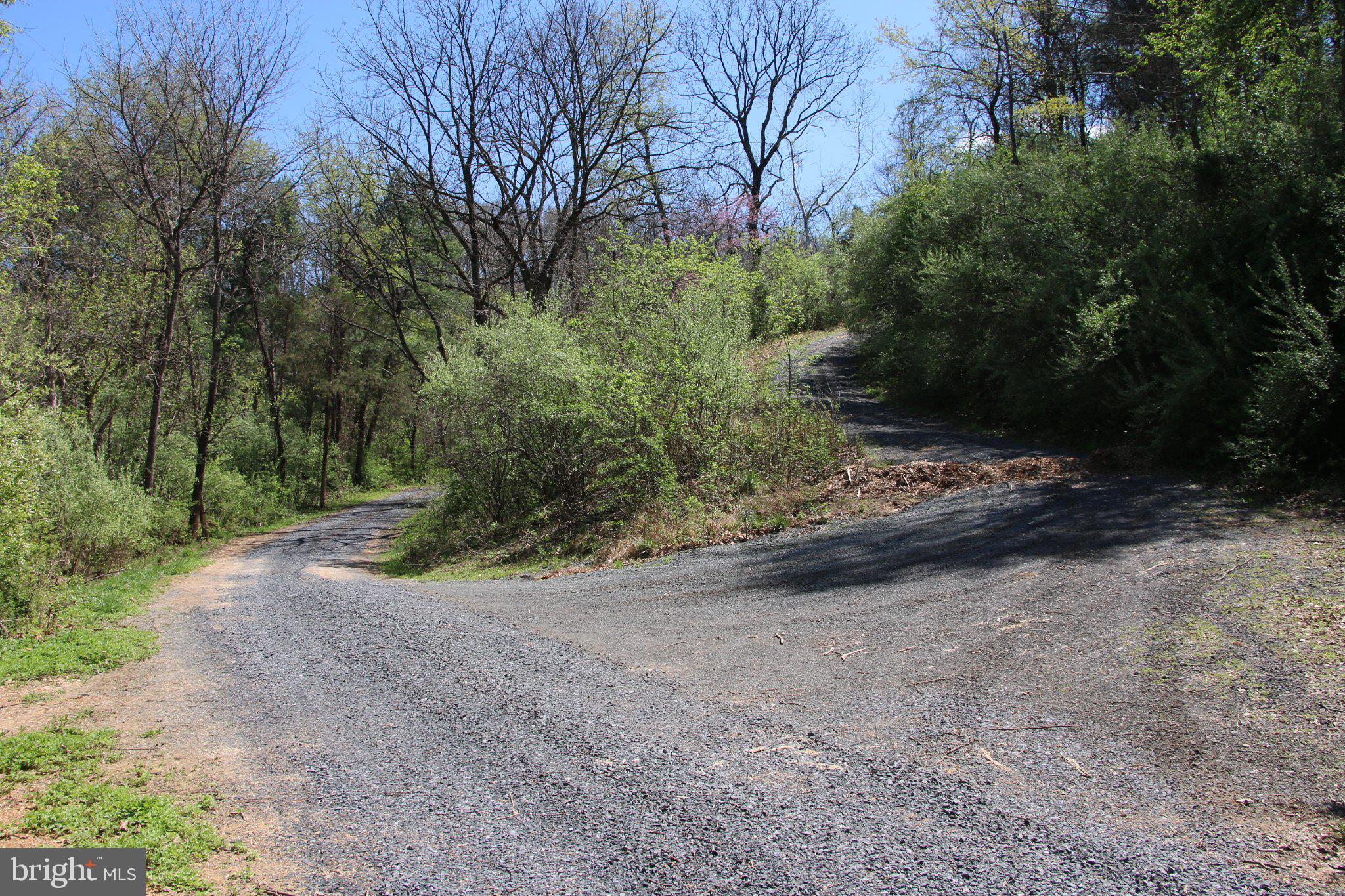 2983 Old Winchester Road Boyce, VA 22620 - Photo 38 of 190