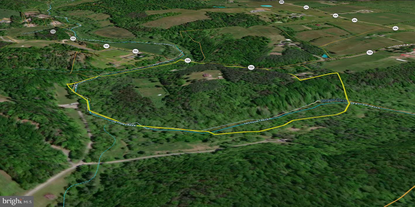 2983 Old Winchester Road Boyce, VA 22620 - Photo 38 of 91 a backyard of a house with lots of green space