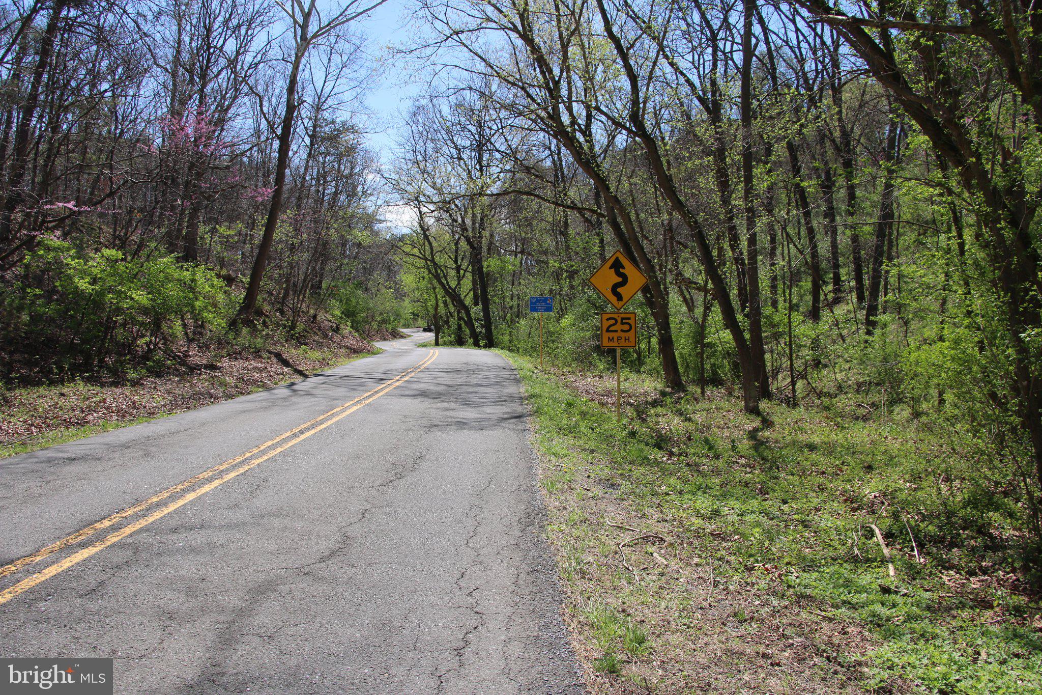 2983 Old Winchester Road Boyce, VA 22620 - Photo 40 of 190