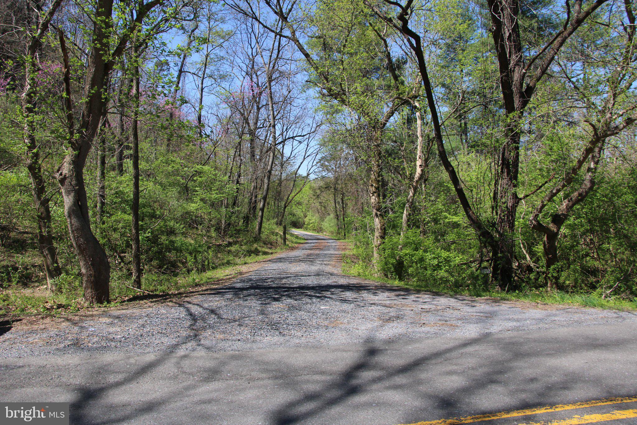 2983 Old Winchester Road Boyce, VA 22620 - Photo 41 of 190