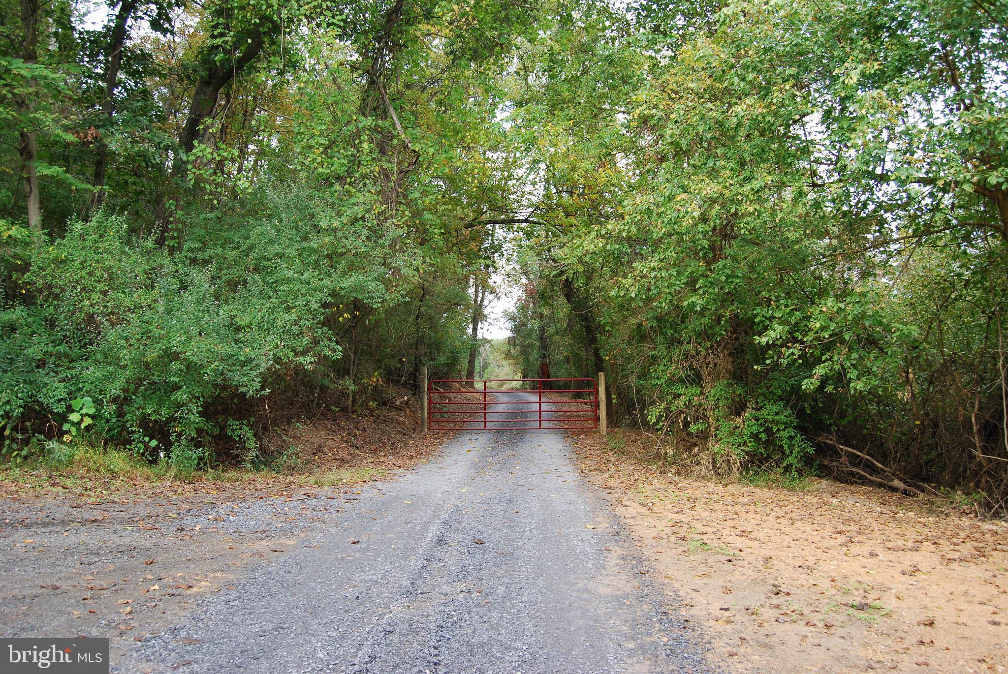 2983 Old Winchester Road Boyce, VA 22620 - Photo 5 of 91 a view of a forest with trees in the background
