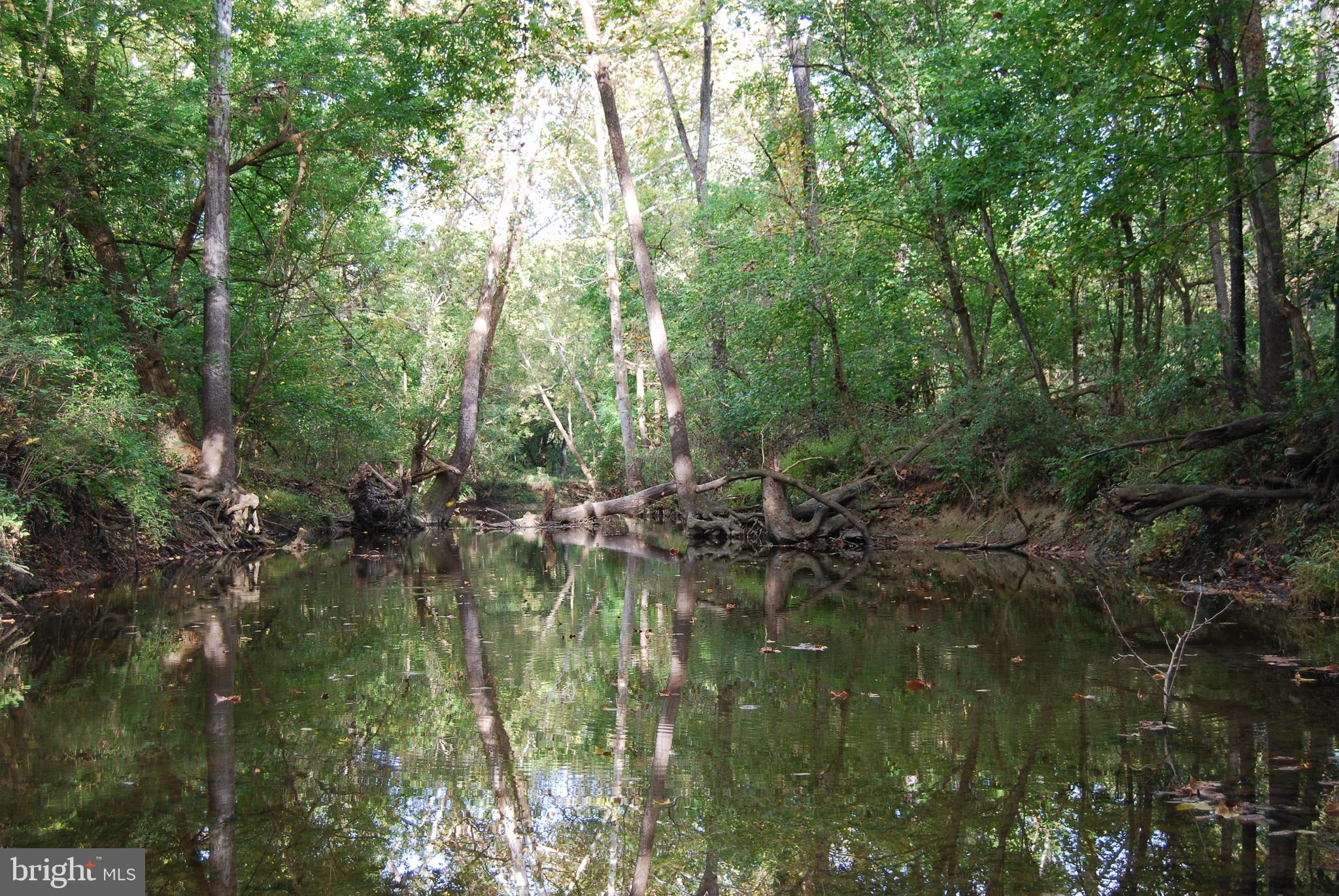 2983 Old Winchester Road Boyce, VA 22620 - Photo 6 of 91