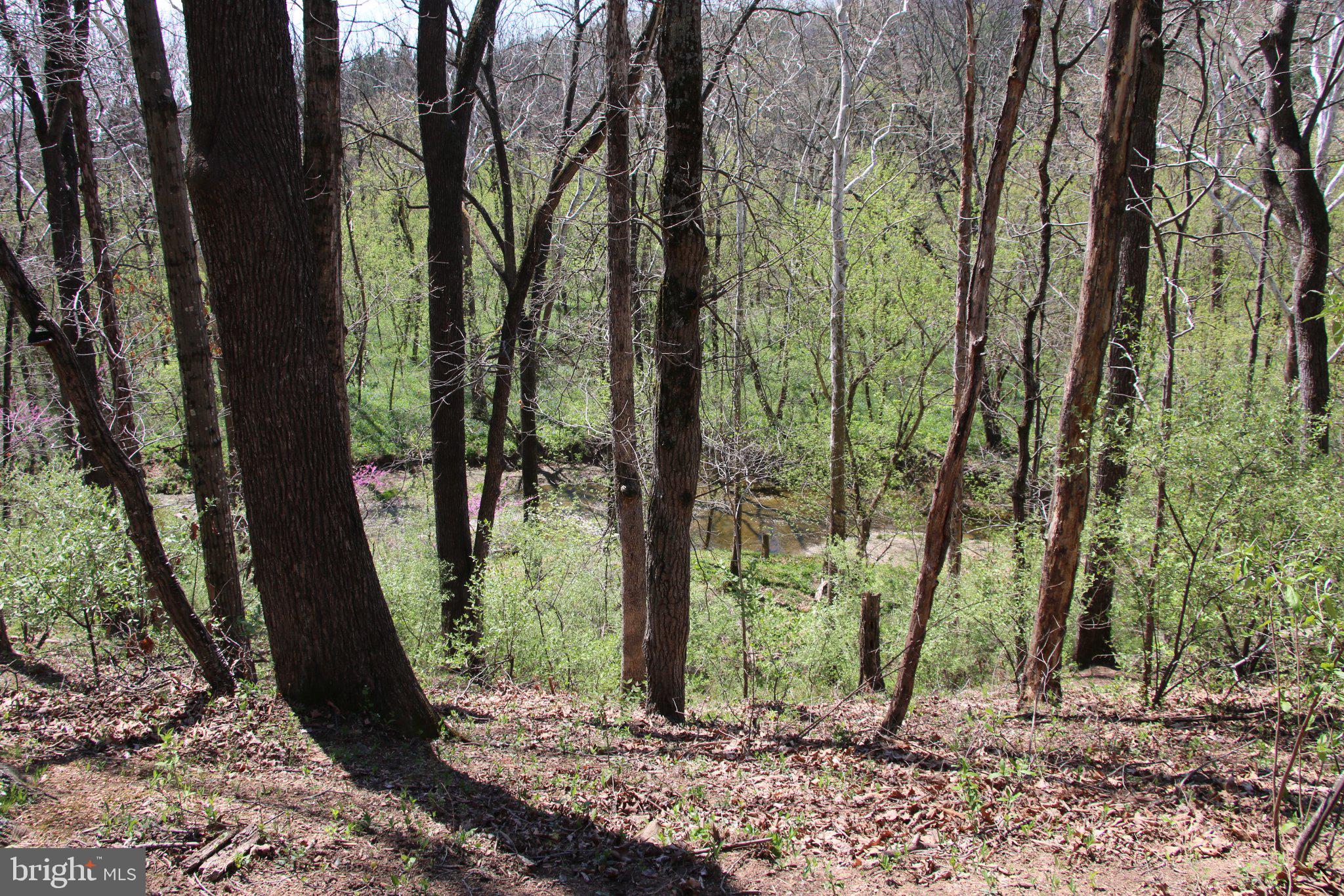 2983 Old Winchester Road Boyce, VA 22620 - Photo 8 of 190