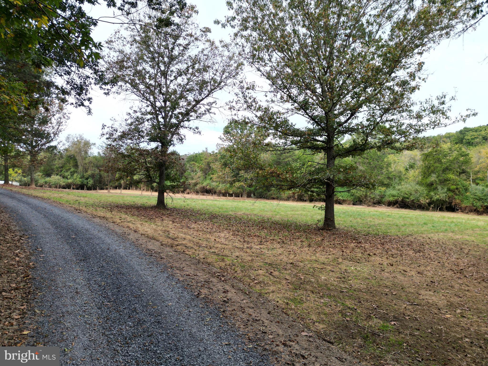 2983 Old Winchester Road Boyce, VA 22620 - Photo 8 of 91 a view of a park with trees