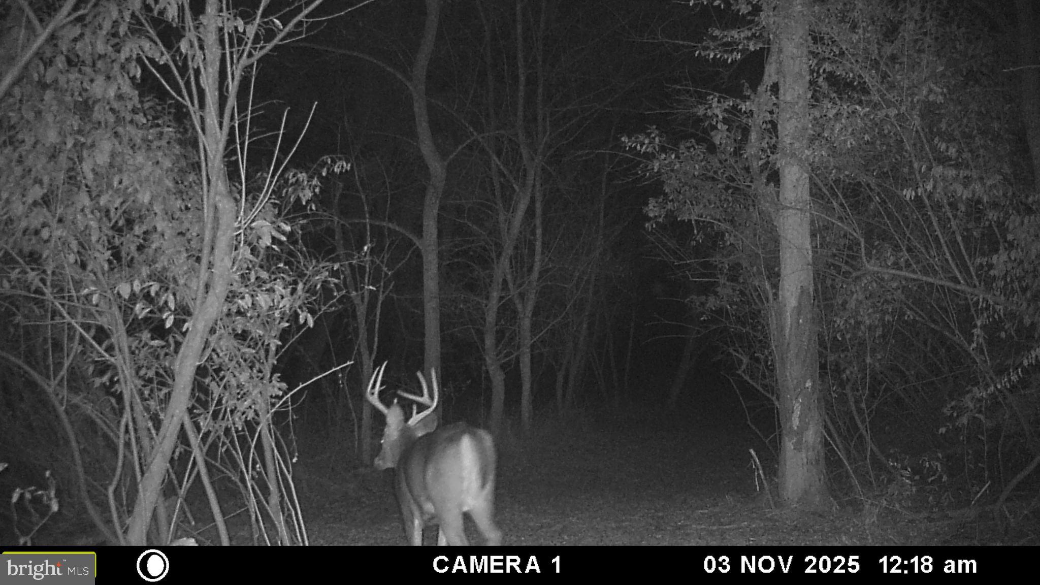 2983 Old Winchester Road Boyce, VA 22620 - Photo 81 of 91