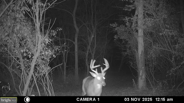 $1,275,000 | 2983 Old Winchester Road, Boyce, VA 22620