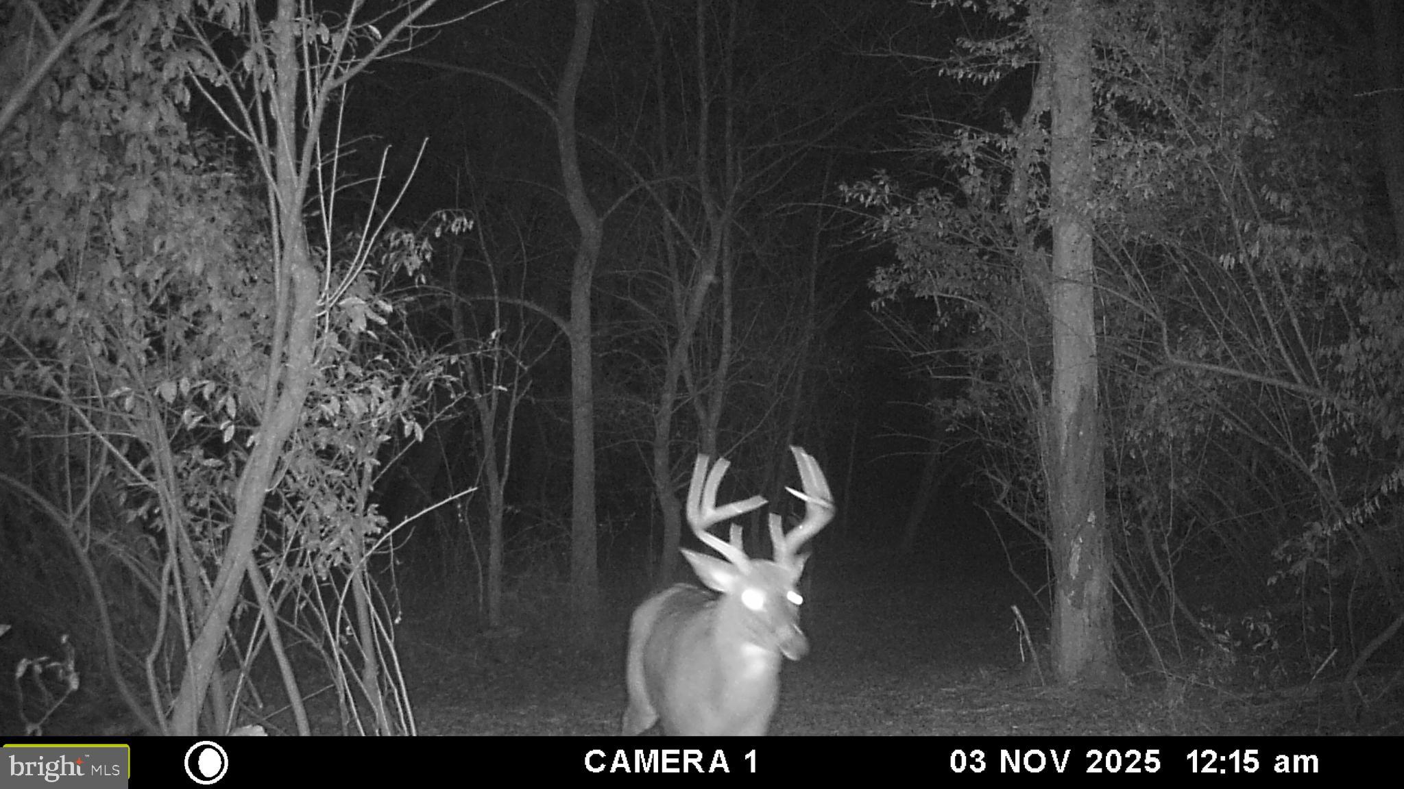 2983 Old Winchester Road Boyce, VA 22620 - Photo 82 of 91