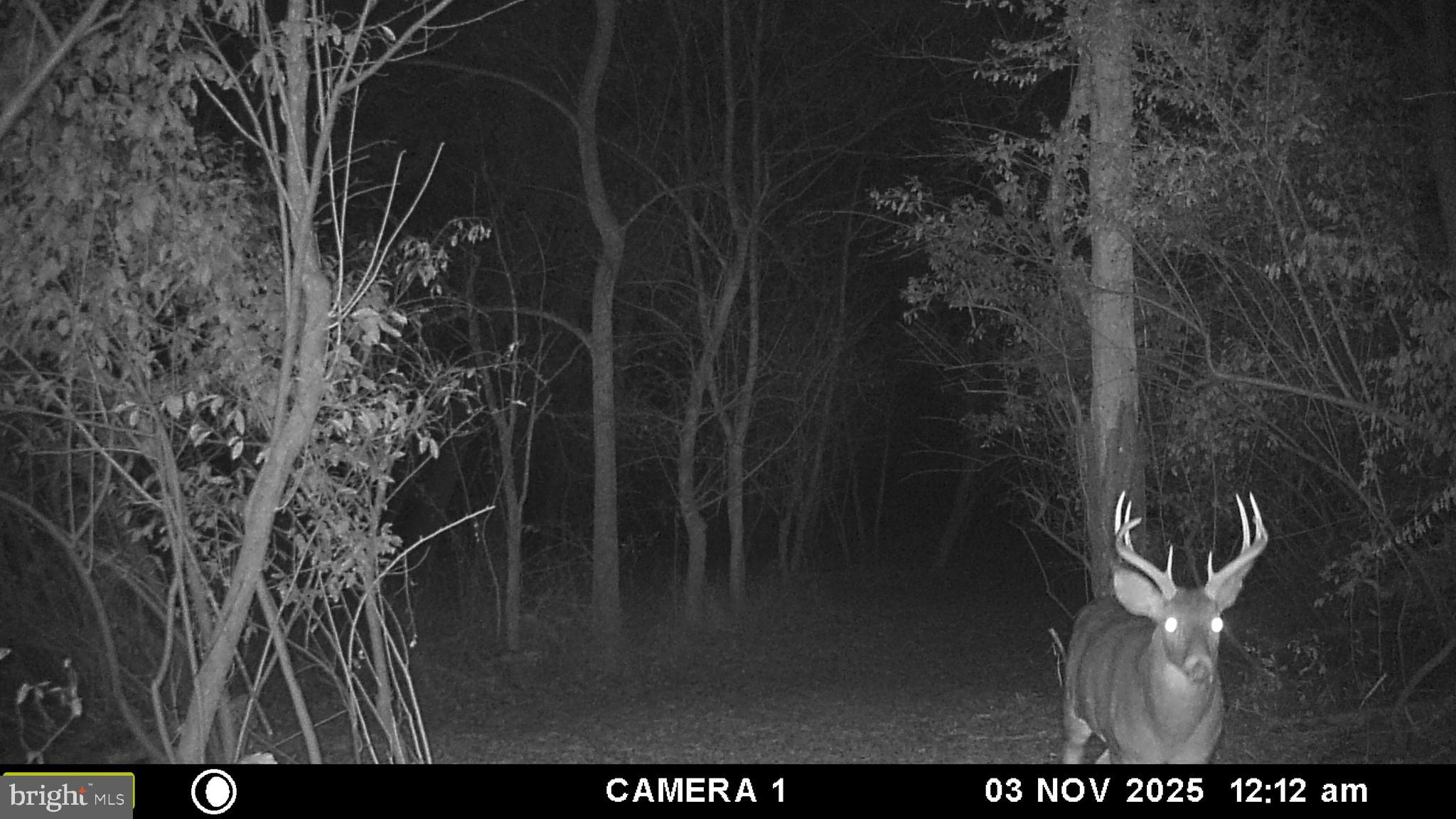 2983 Old Winchester Road Boyce, VA 22620 - Photo 83 of 91