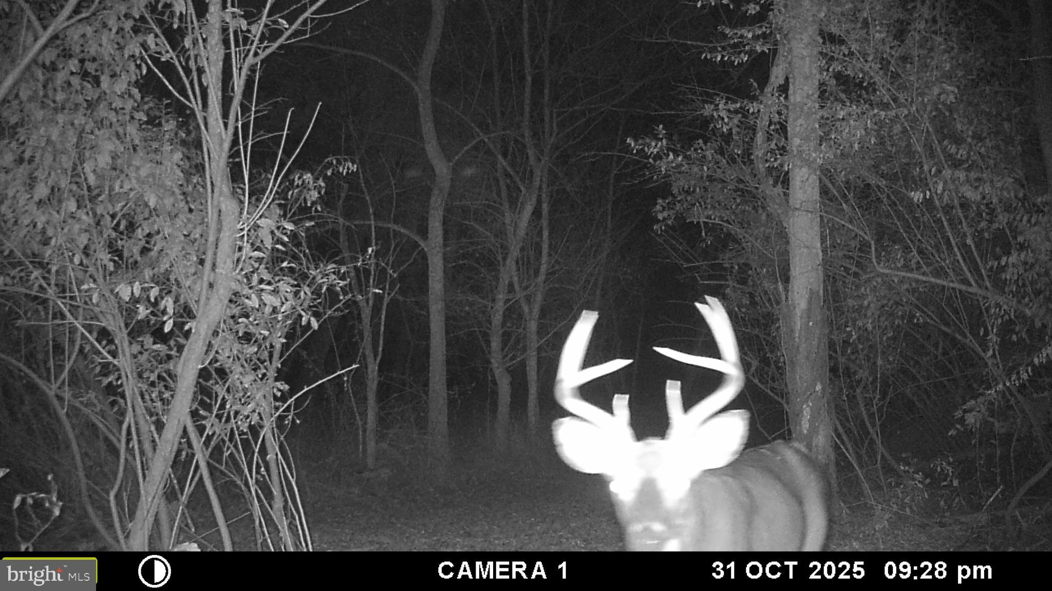 2983 Old Winchester Road Boyce, VA 22620 - Photo 84 of 91