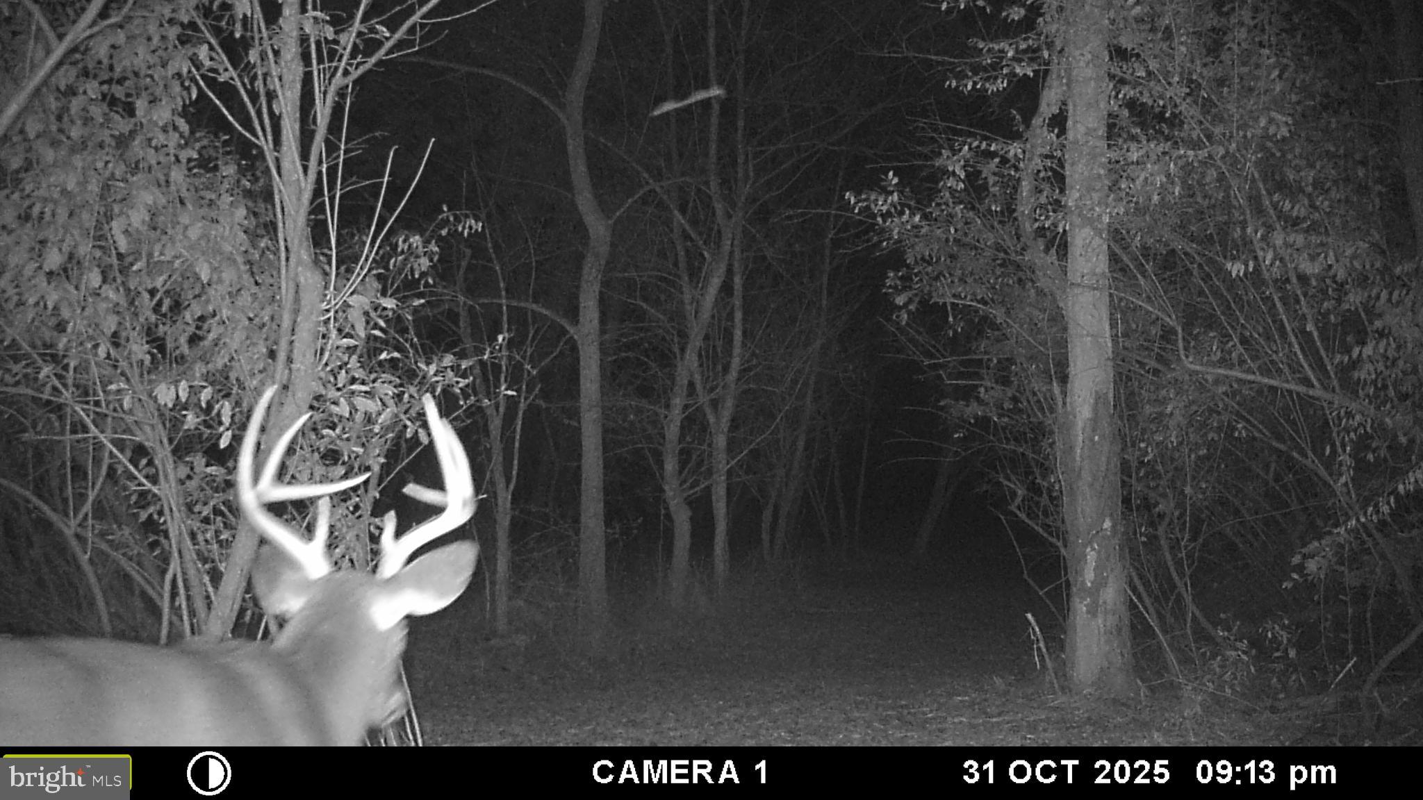 2983 Old Winchester Road Boyce, VA 22620 - Photo 85 of 91