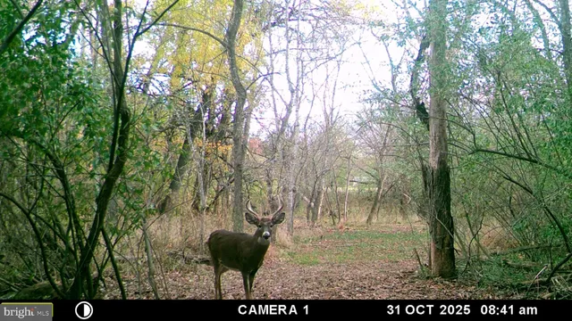 $1,275,000 | 2983 Old Winchester Road, Boyce, VA 22620