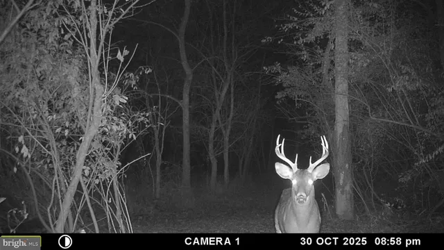 $1,275,000 | 2983 Old Winchester Road, Boyce, VA 22620