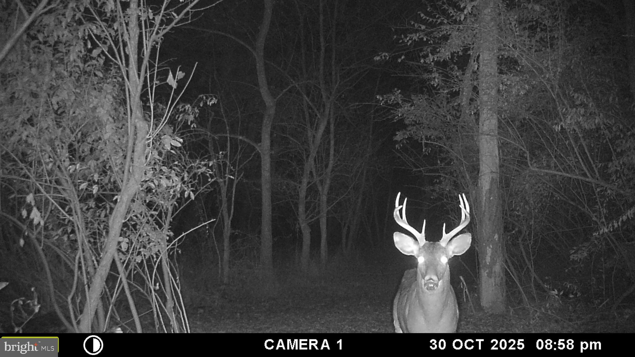 2983 Old Winchester Road Boyce, VA 22620 - Photo 88 of 91