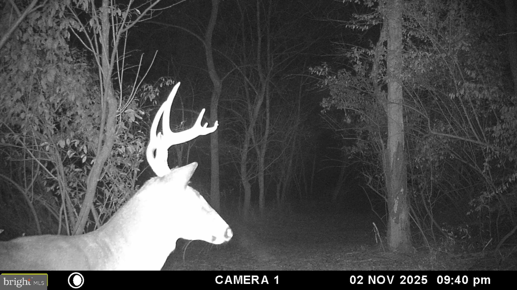 2983 Old Winchester Road Boyce, VA 22620 - Photo 89 of 91