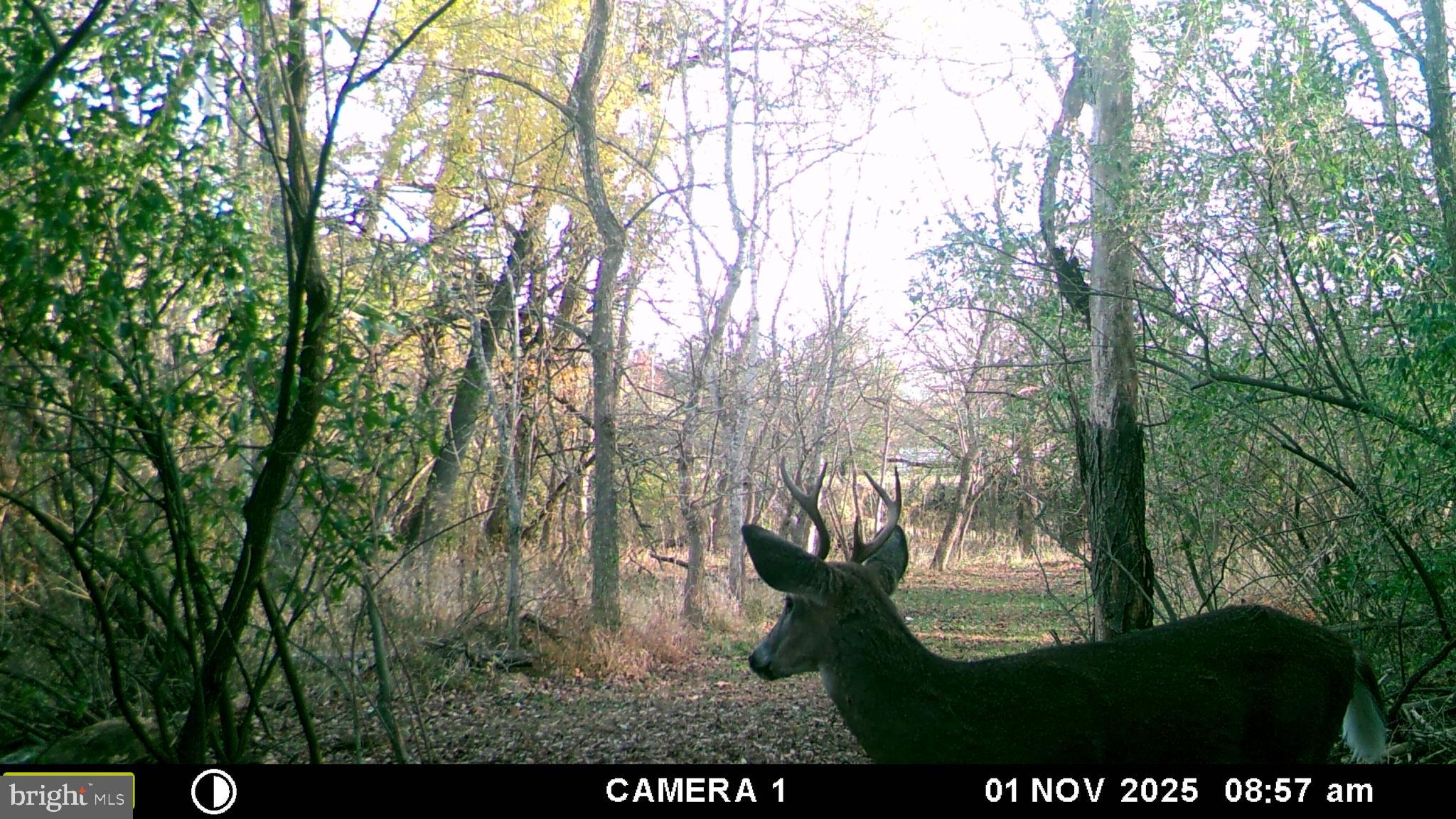 2983 Old Winchester Road Boyce, VA 22620 - Photo 90 of 91 a view of an outdoor space and a yard