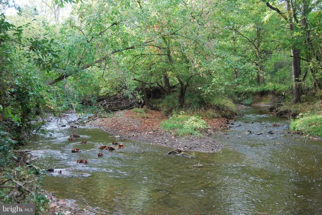 a house view with garden space