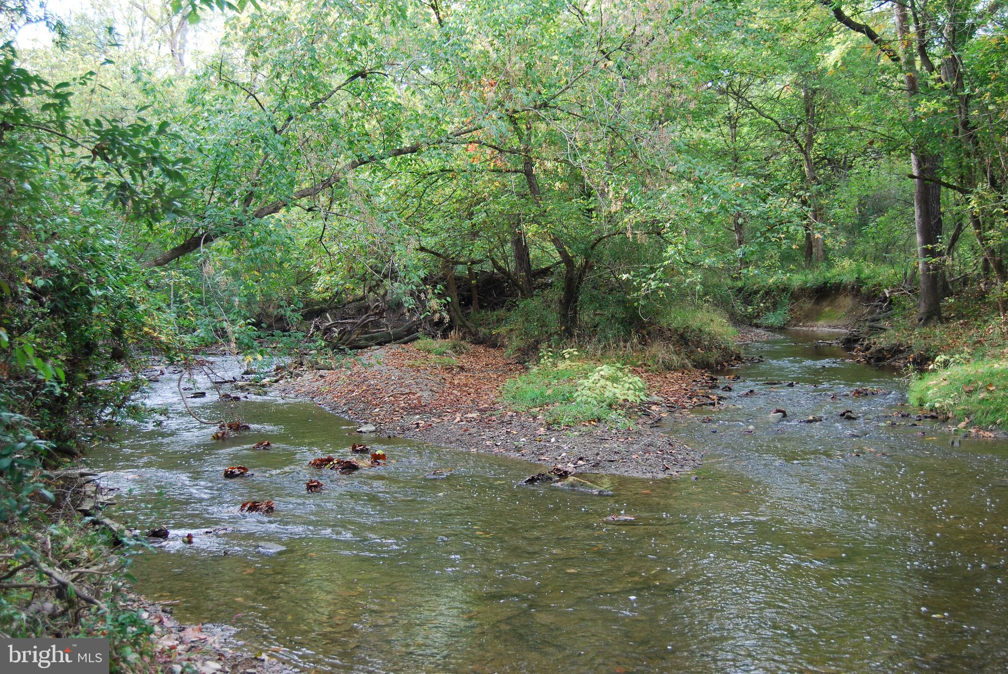 2983 Old Winchester Road Boyce, VA 22620 - Photo 9 of 91 a backyard of a house with lots of green space