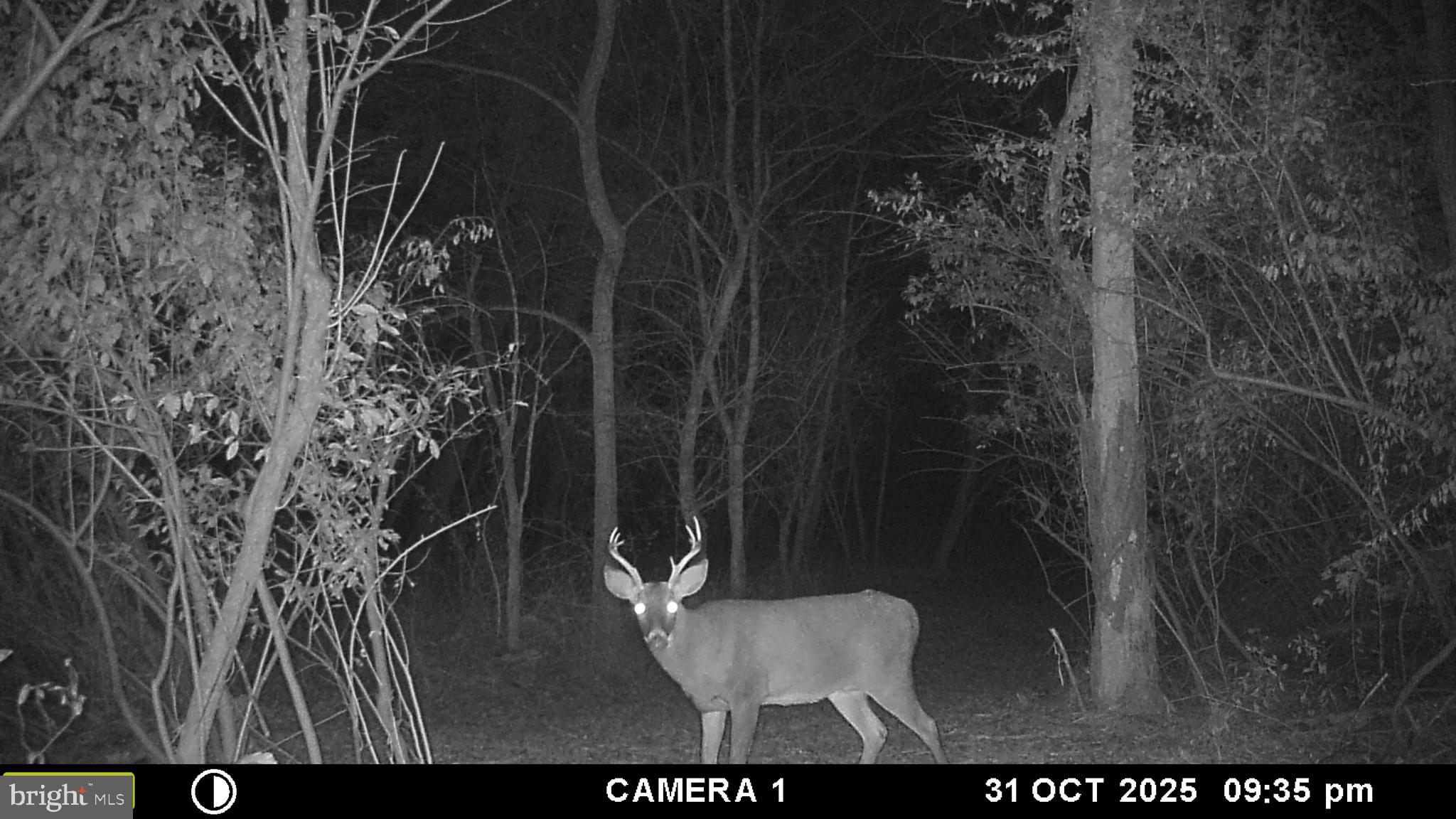 2983 Old Winchester Road Boyce, VA 22620 - Photo 91 of 91