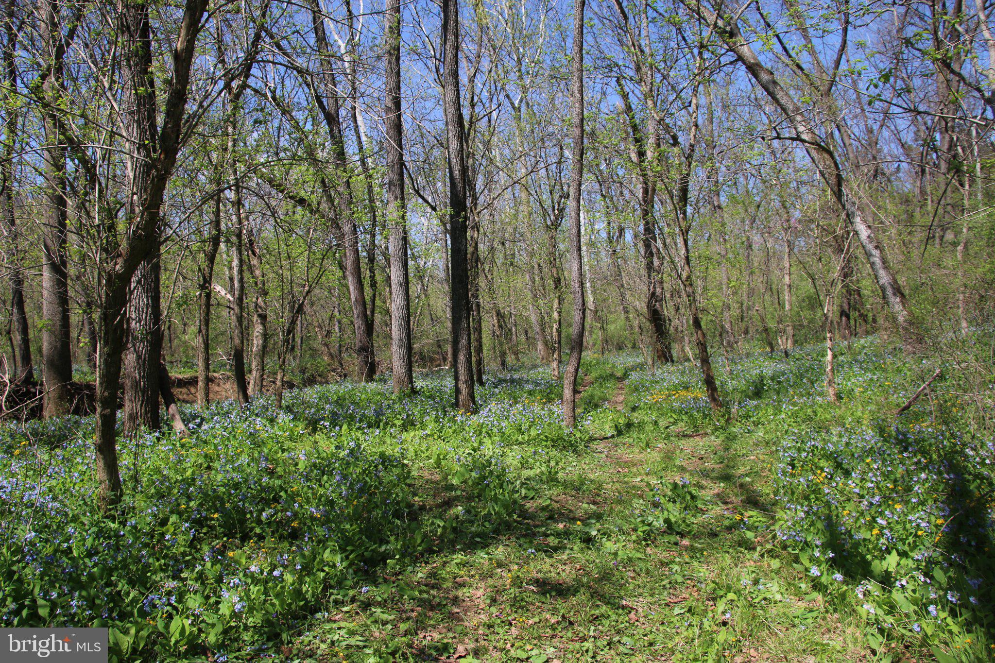 2983 Old Winchester Road Boyce, VA 22620 - Photo 10 of 190