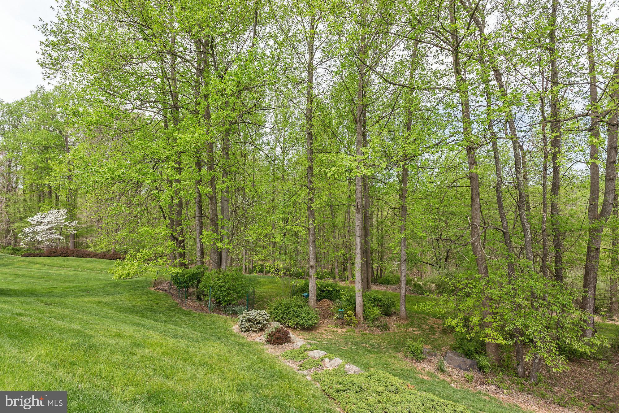2817 Thornbrook Road Ellicott City, MD 21042 - Photo 28 of 30 Beautiful Backyard