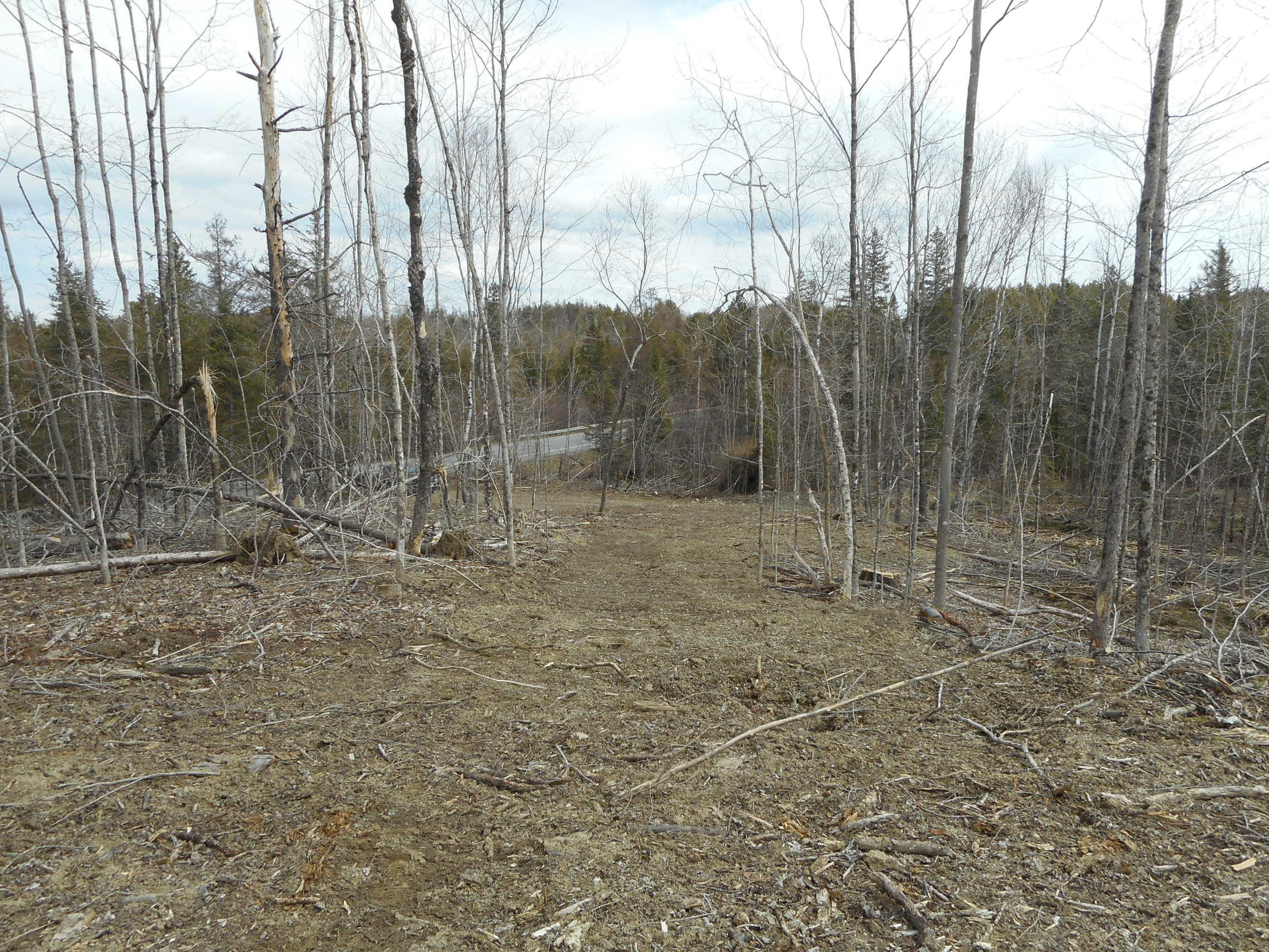 6 Springfield Me 04487 Springfield, ME 04487 - Photo 6 of 9 DSCN2901