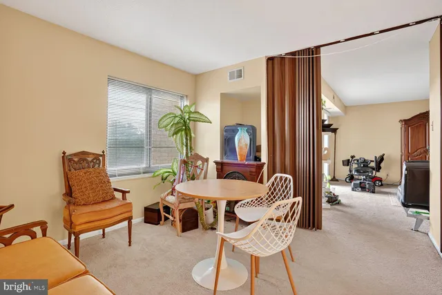 a living room with furniture a couch and a potted plant